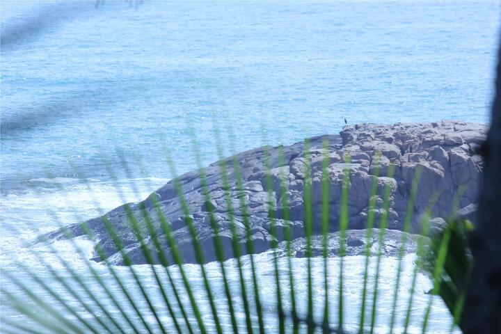 Vedic Waves