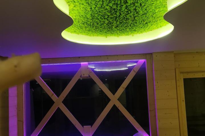 Spa and Wellness