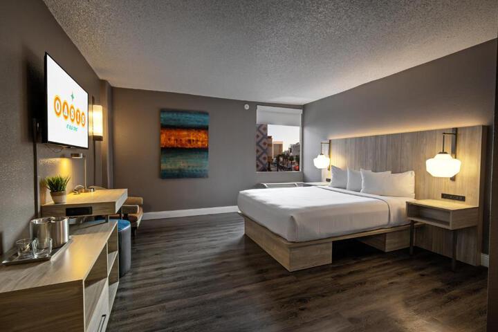 Gold Spike Queen Room 21 and Over (18 of 20)