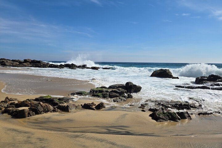 Beach 120 of 229