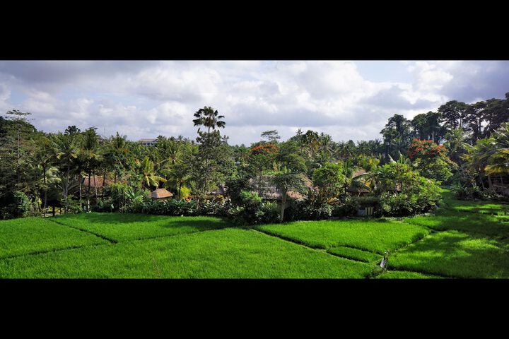Hotel View 104 of 109