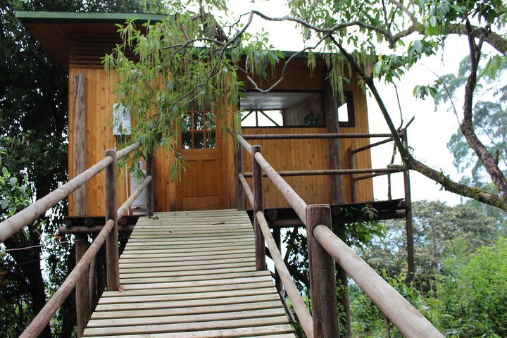 Terrace/Patio 6 of 39