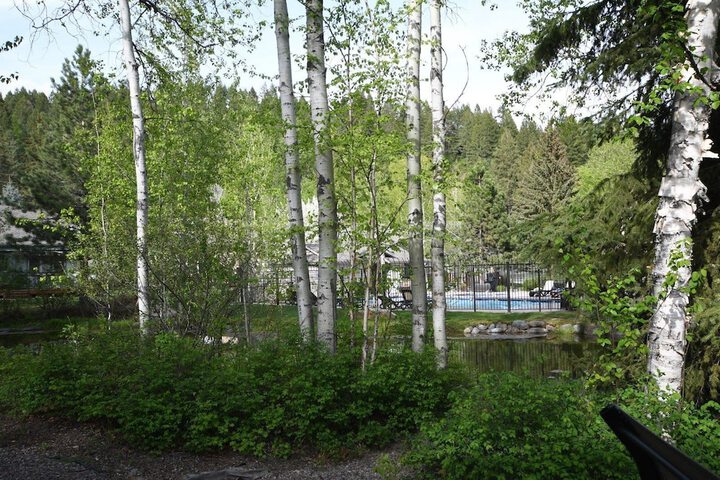 Property Grounds 21 of 38