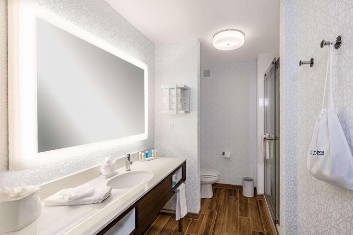 1 King Mobility Hearing Accessible Roll in Shower Studio (3 of 15)