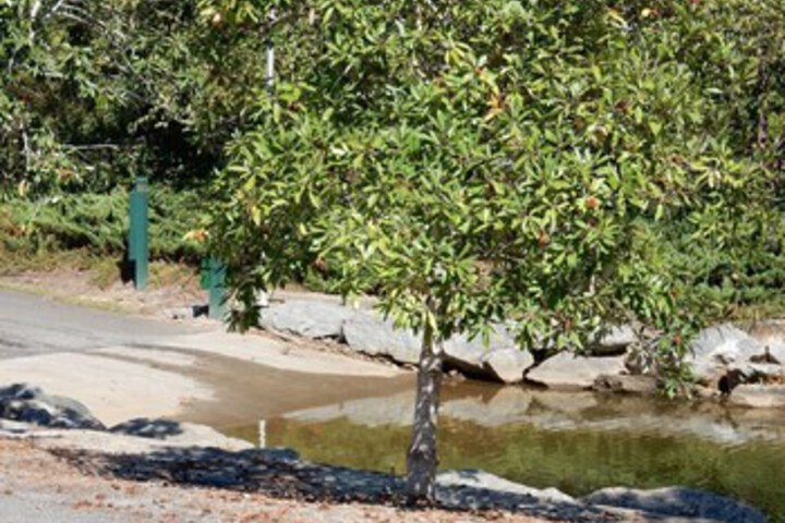 Property Grounds 70 of 88