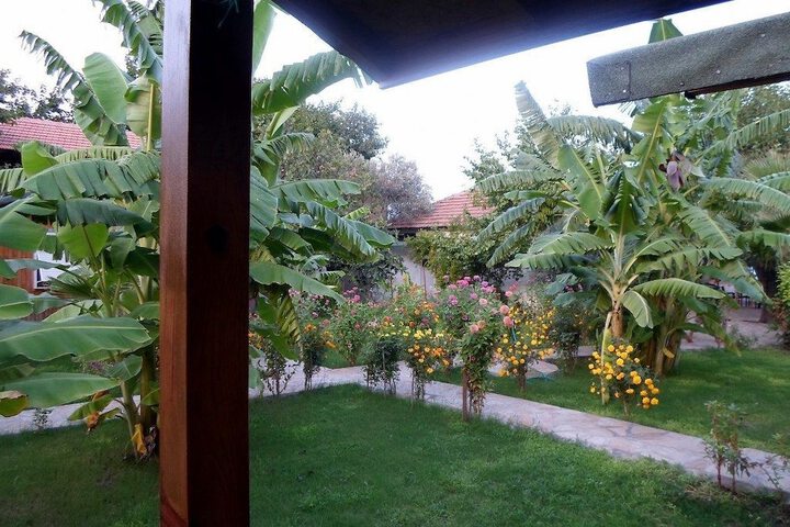 Room 15 of 31