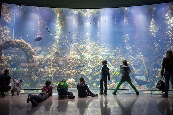 Children's activities