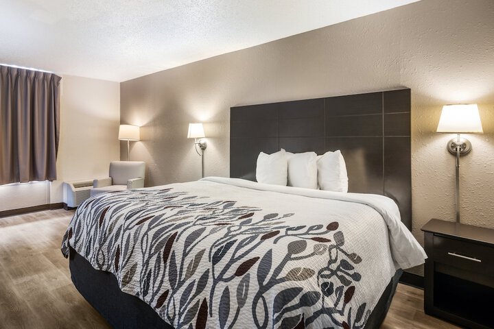 Deluxe King Bed (1 of 8)