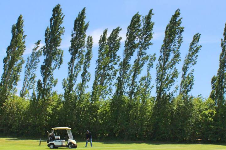 Golf 27 of 41