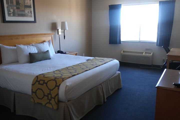 1 King Bed Studio Suite (7 of 20)