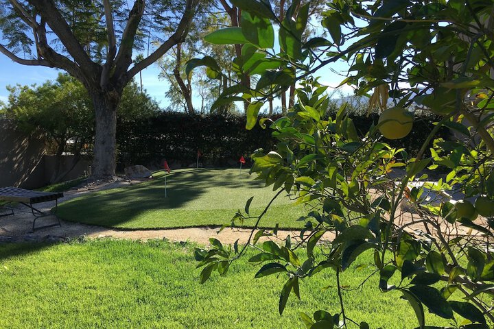 Mini-golf