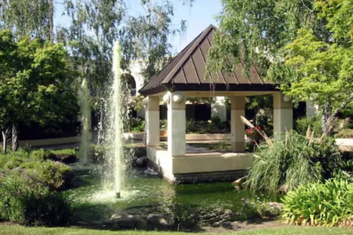 Garden view