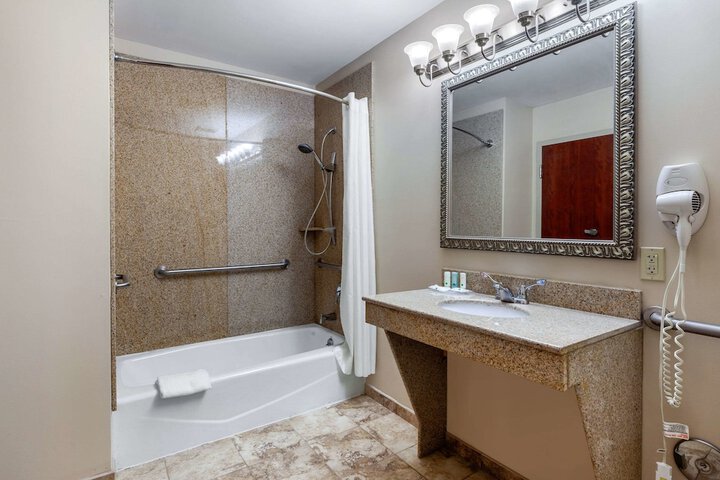 1 King Bed Mobility Accessible (8 of 16)