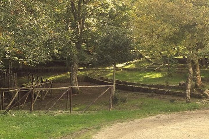 Property Grounds 27 of 29