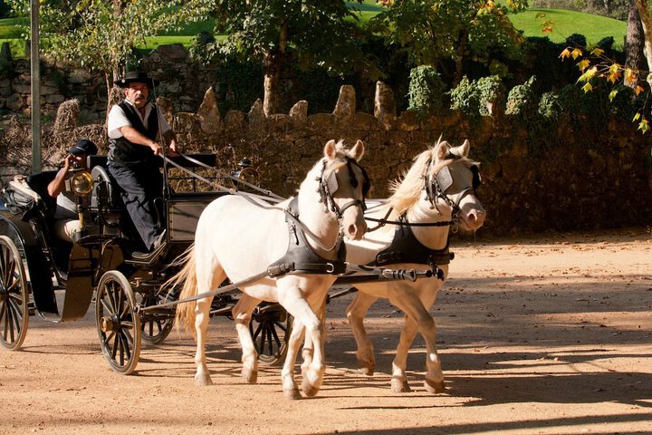 General 62 of 99