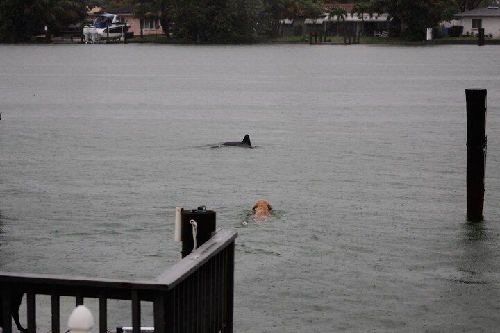 Water Sports 26 of 80