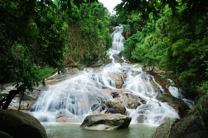 Ecotours