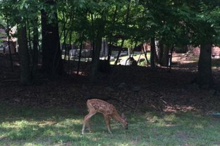 Property Grounds 24 of 26