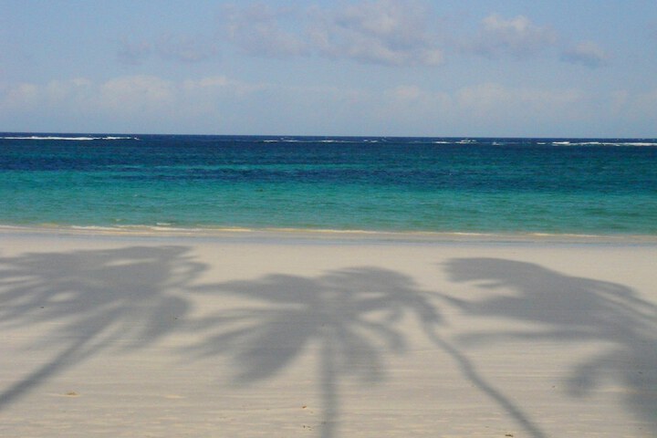 Beach 125 of 174