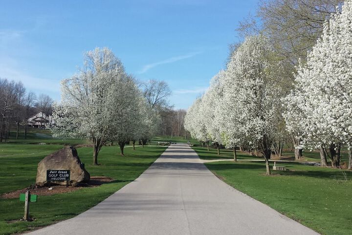 Property Grounds 31 of 43