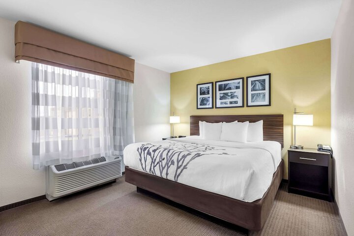 1 King Bed (10 of 19)