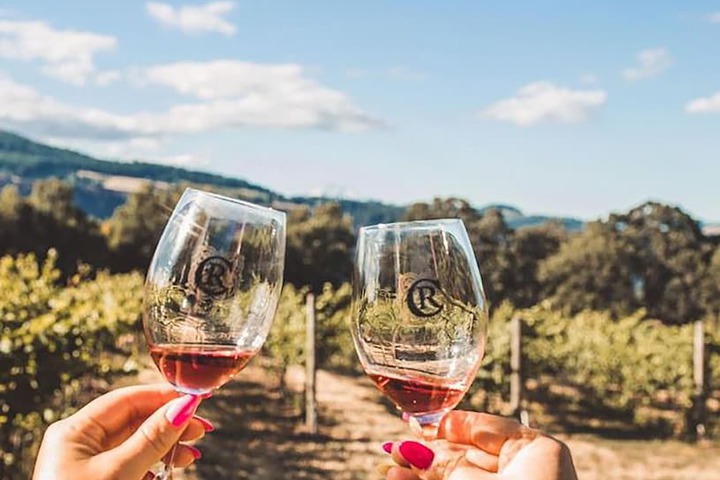 Vineyard