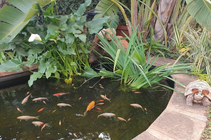 Property Grounds 25 of 27