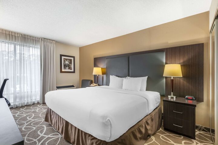 1 King Bed (8 of 12)
