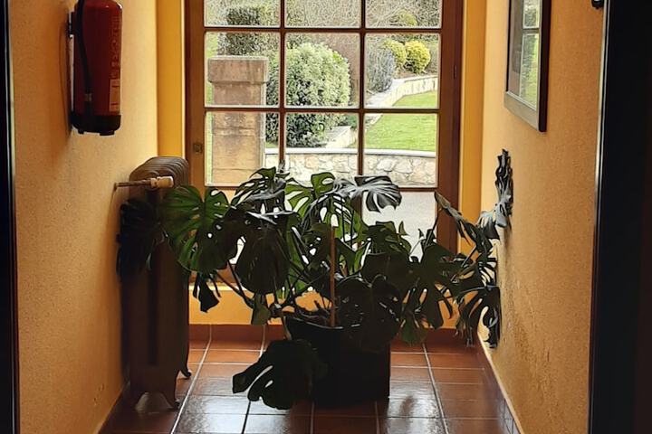 Interior detail
