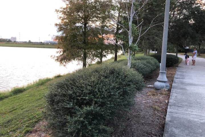 Property Grounds 41 of 42