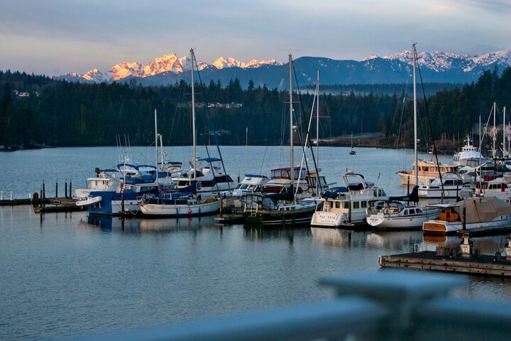 Property Grounds 56 of 63