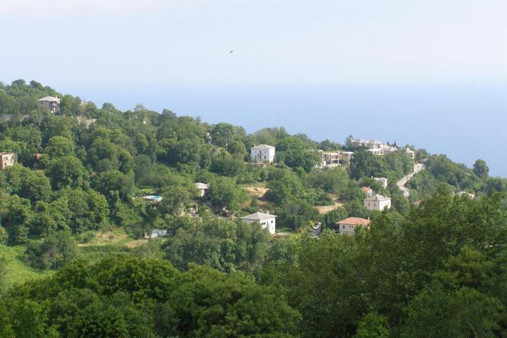 Hotel Tsagarada
