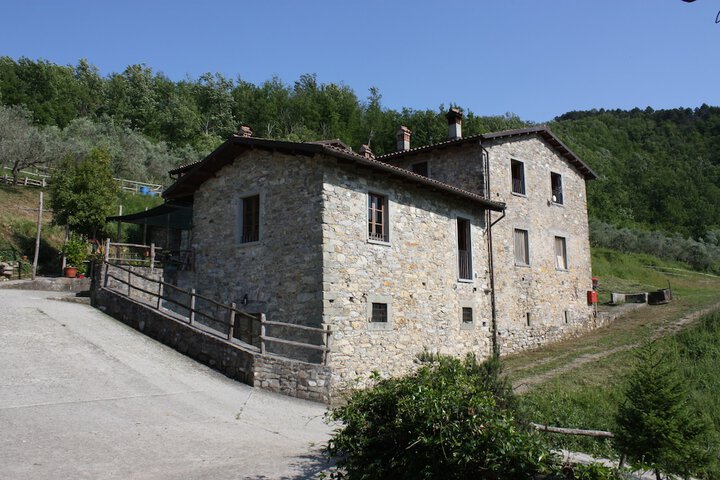 Le Chianine dei Tognoli in Fivizzano