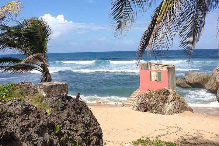Beach 116 of 141