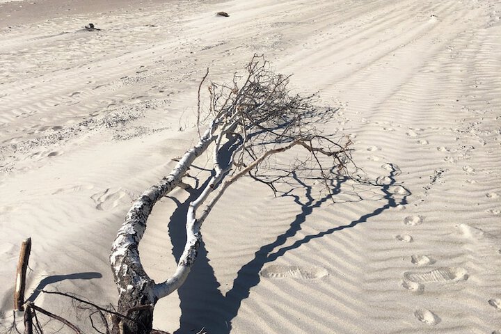 Beach 49 of 51