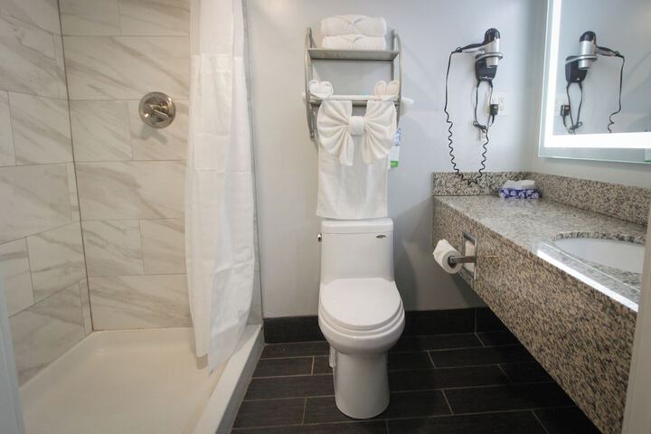 1 King Bed Pet Friendly Accessible (62 of 90)