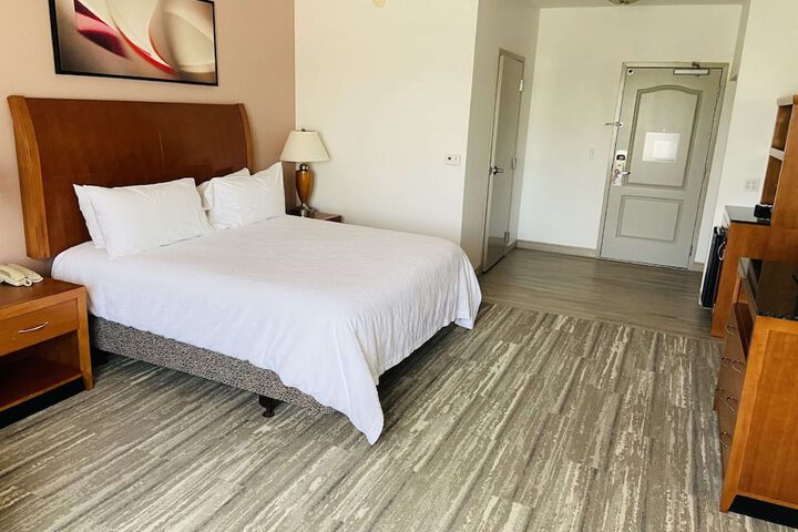 1 King Bed Accessible (18 of 24)