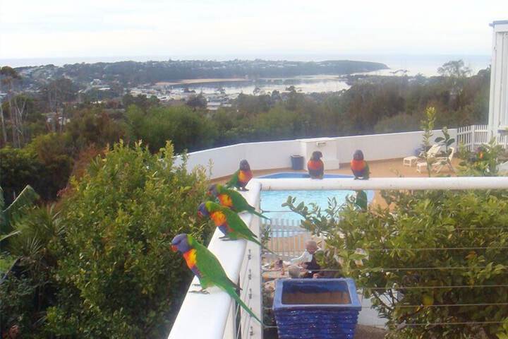 View from room