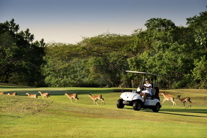 Golf