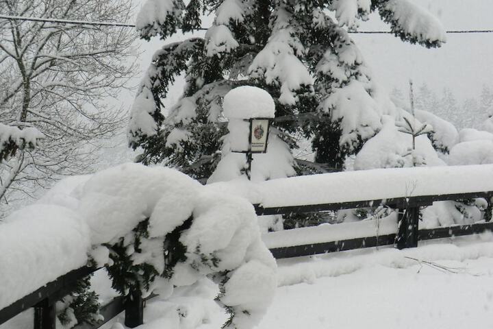 Property Grounds 23 of 25