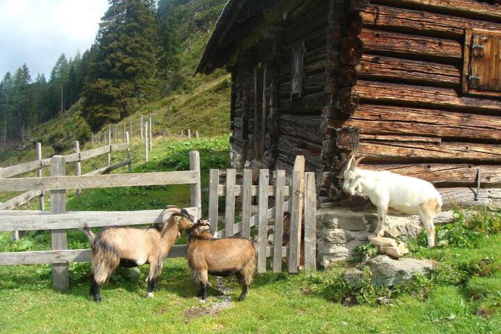 General 64 of 100