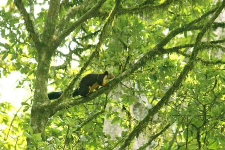 Ecotours