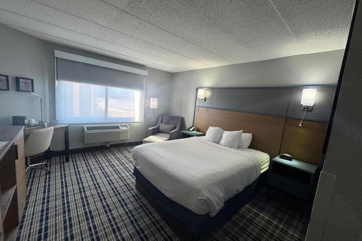 1 King Bed Accessible (8 of 20)