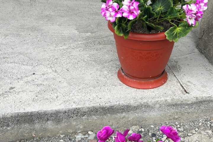Terrace/Patio 44 of 72