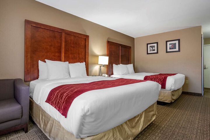 2 Queen Beds (7 of 14)