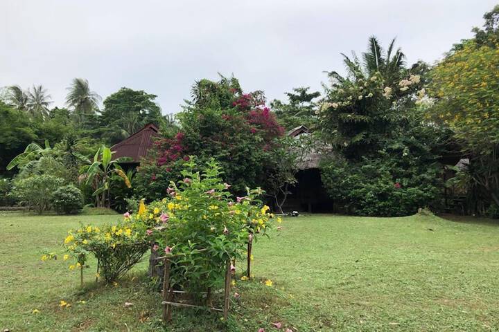 Property Grounds 36 of 51