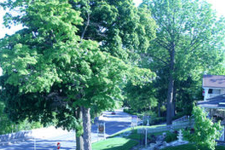 Property Grounds 29 of 36