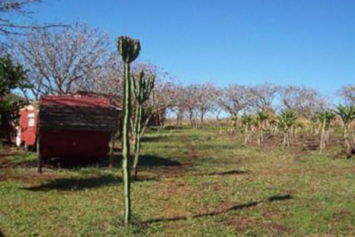 Property Grounds 13 of 16