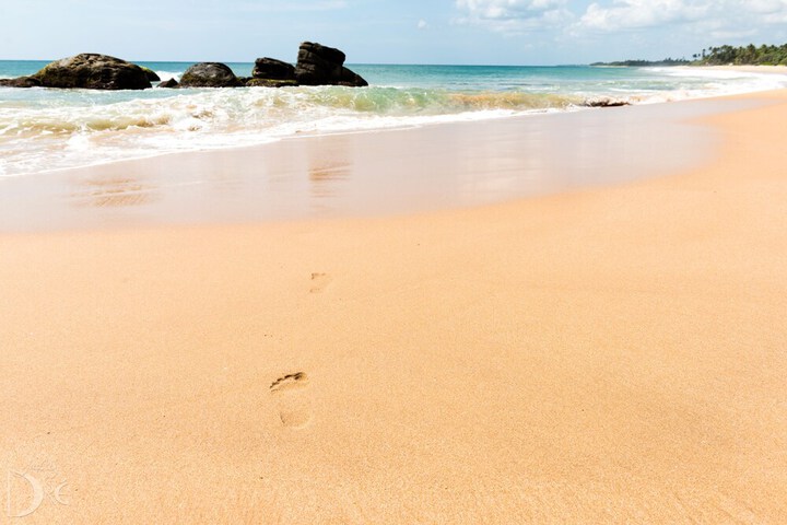 Beach 59 of 88
