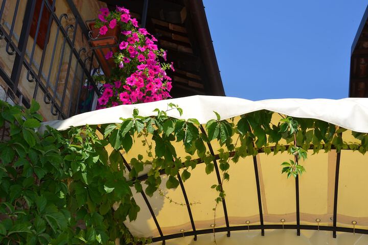 Hotel 38 of 39